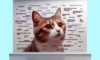 Cat Meme Tips for Attaining Feline Internet Stardom