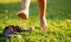 Barefoot Footwear’s Orthopedic Effects on Children’s Feet