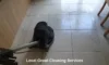 Grout Cleaners: Top Local Recommendations Near Longcross