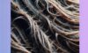 Effective Strategies and Solutions for Reversing Heat Damage