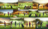 Golf Lessons in South Africa: Your Essential Guide