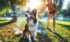 Trick Training for Dogs: Fun Ways to Teach Your Pooch