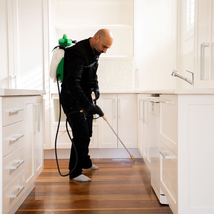 DIY Pest Control: Why Professional Treatments Outperform Sprays