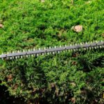 Hedge Trimming Best Practices for Marston Magna