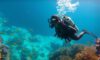 Big Blue Hole Diving: Essential Tips for Adventurers