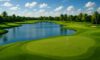 Golf Resorts in Florida: Explore Top Choices Available