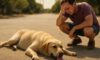 Heat Exhaustion Treatment for Pets: Essential Recovery Tips