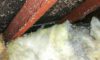 Asbestos Concerns: Essential Tips for Selecting Skip Hire Services