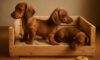 Puppy Comfort: How to Make a Cozy Crate for Your Dog