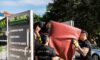 Council Hard Waste and Junk Removal Options Explored