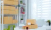 Loft Clearance Services: Professional Help in Greenwich