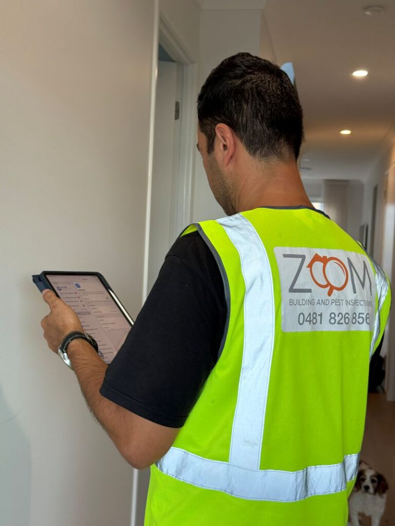 Building and Pest Inspection Comparison for Brisbane Homes